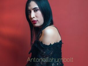 Antonellahumbolt