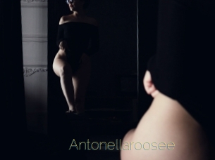 Antonellaroosee