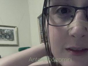 Antoniaborromini