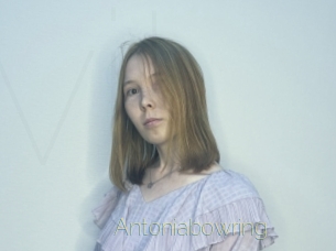 Antoniabowring