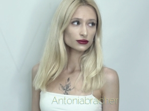 Antoniabracher