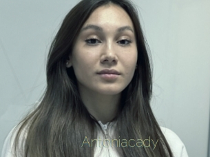 Antoniacady