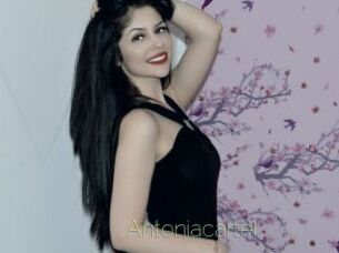 antoniacarter Visio Tchats