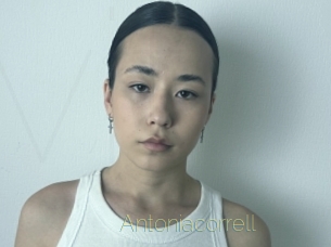 Antoniacorrell