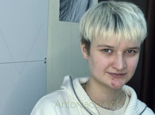 Antoniacowick