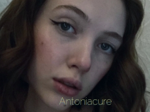 Antoniacure