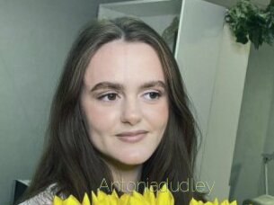 Antoniadudley