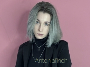 Antoniafinch