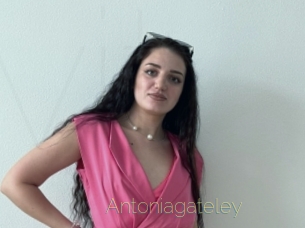 Antoniagateley