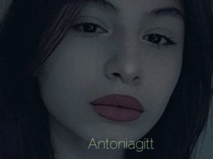 Antoniagitt
