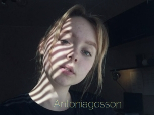 Antoniagosson