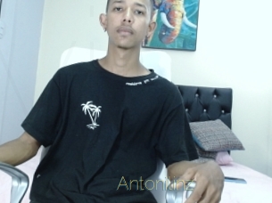 Antonilinz