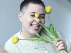 Aririos