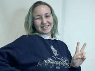 Arleighdagg