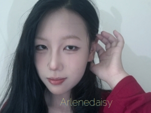 Arlenedaisy