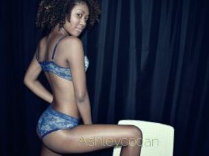Ashleycodan