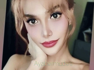 Ayabermudes