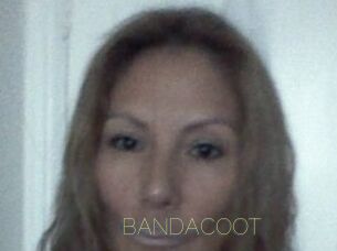 BANDACOOT