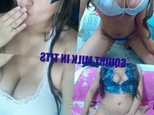 BIG_TETIS
