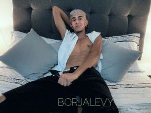 BORJALEVY