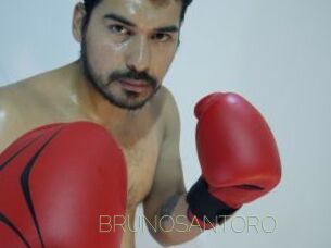 BRUNOSANTORO