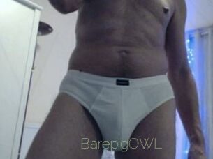 BarepigOWL