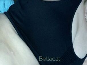 Bellacat