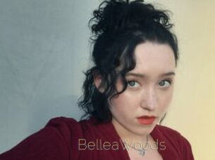 BelleaWoods Visio Tchats