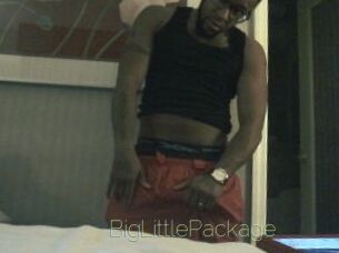 BigLittlePackage