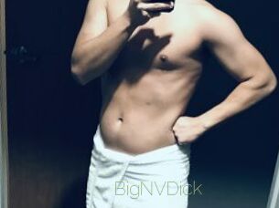 BigNVDick