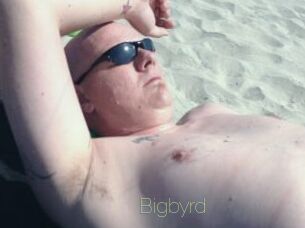 Bigbyrd