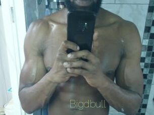 Bigdbull
