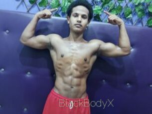 BlackBodyX