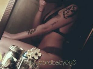 Bluebirdbaby096