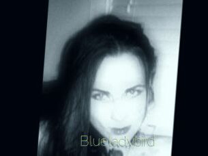 Blueladybird