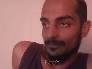 BobX
