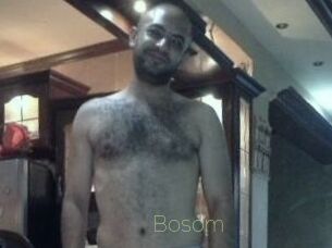 Bosom