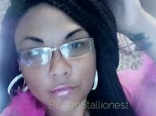 BougieStallionest