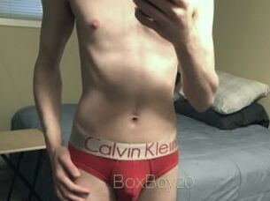 BoxBoy20