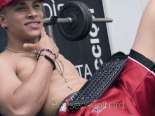 Boysensualhard