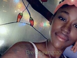 Bre_Shawn2020