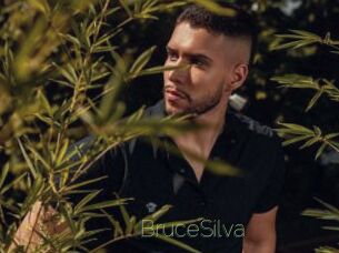 BruceSilva