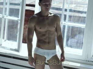 BucksBunny
