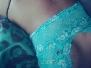 BunnyJp