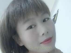 Bunnyhere