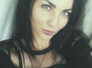 _Black_Cat