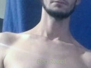 Bad_Rabbit
