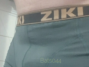 Bats044