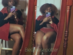 Bellarosepotter