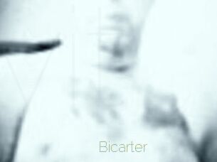 Bicarter